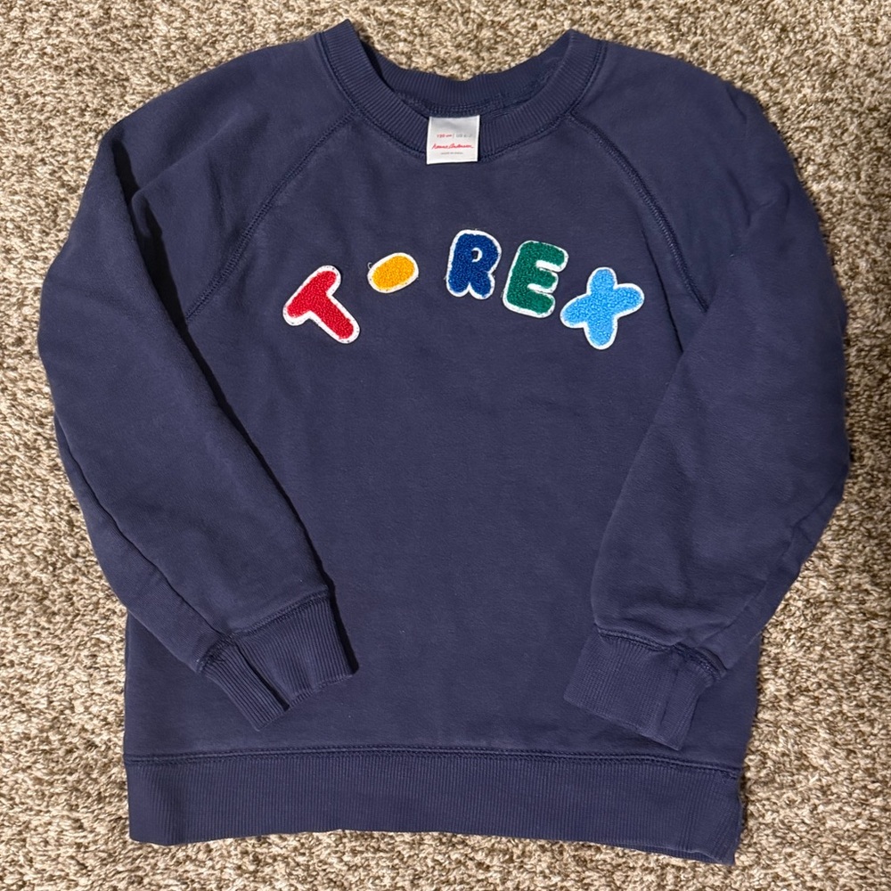 Hanna Andersson Navy T-Rex Sweatshirt